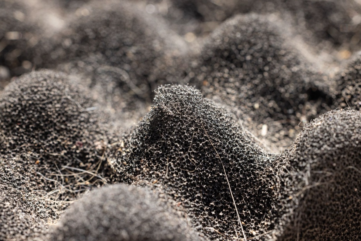 plastic sponge with textured surface for cleaning
