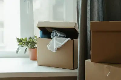 Como organizar uma rotina rápida faxina mudança?
