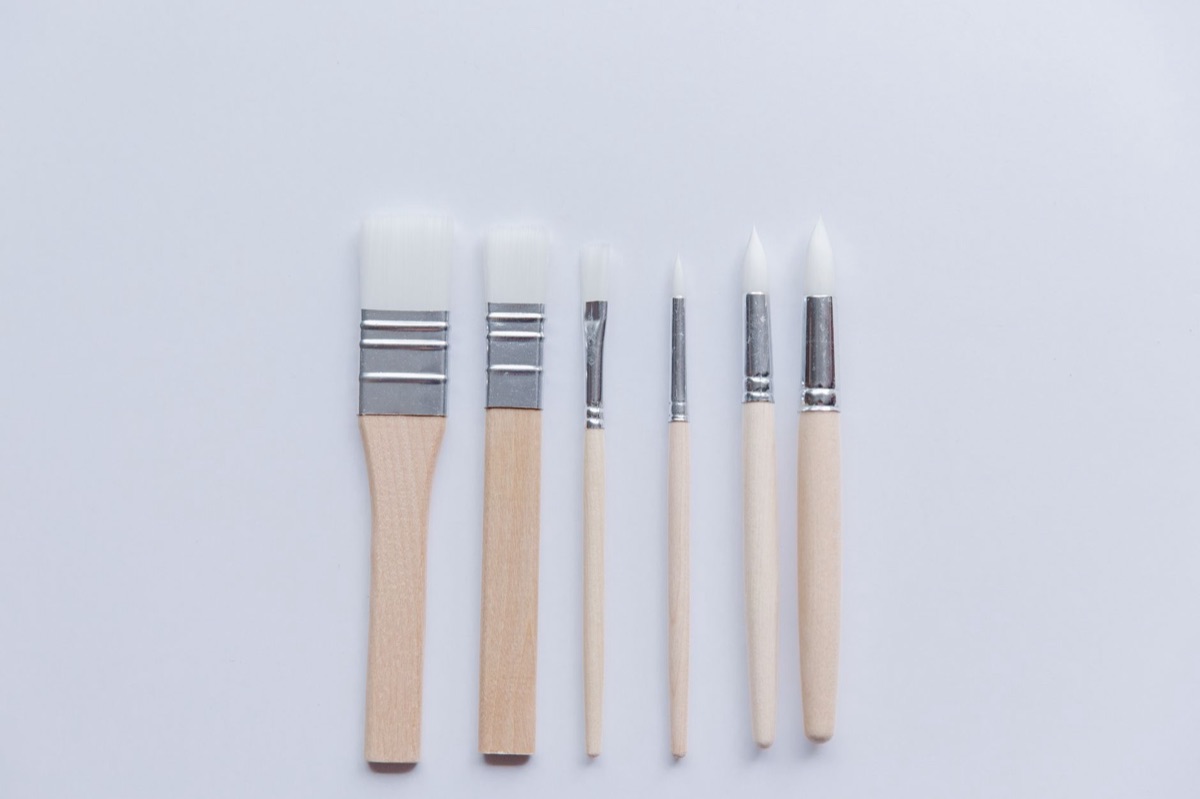 Professional cleaning brush set